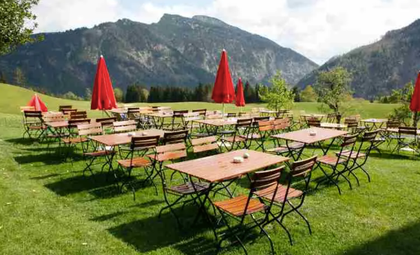 How to Turn Your Backyard into a Beer Garden: Ideas, Layout, Furniture, and Lighting