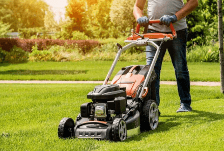 How to Improve Lawn Care in Charleston Climate