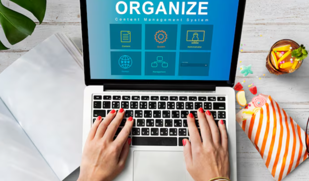 The Role of Software Solutions in Preserving and Organizing Web Content