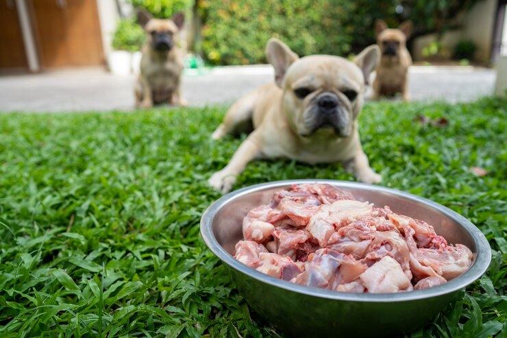 Organic Beef Lung for Dogs and Its Role in a Balanced Diet